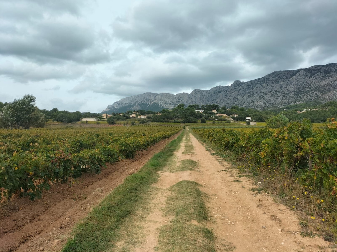 Happy Day In Provence景点图片