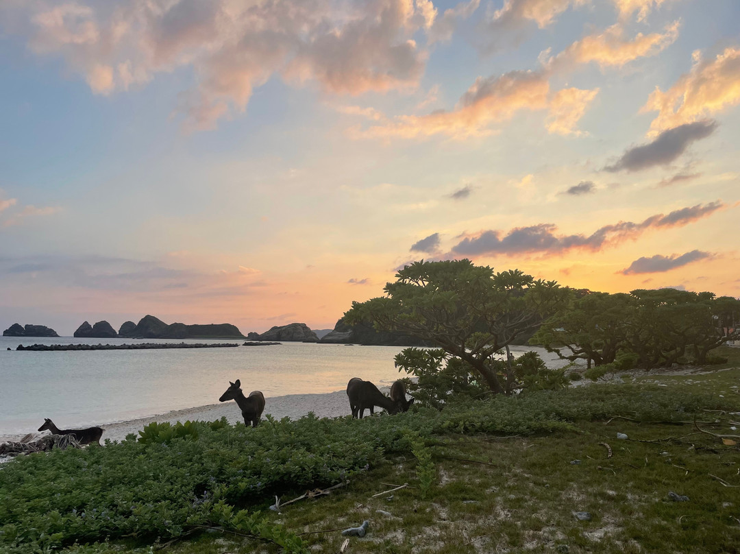 Hanamuro Inn Akajima主图