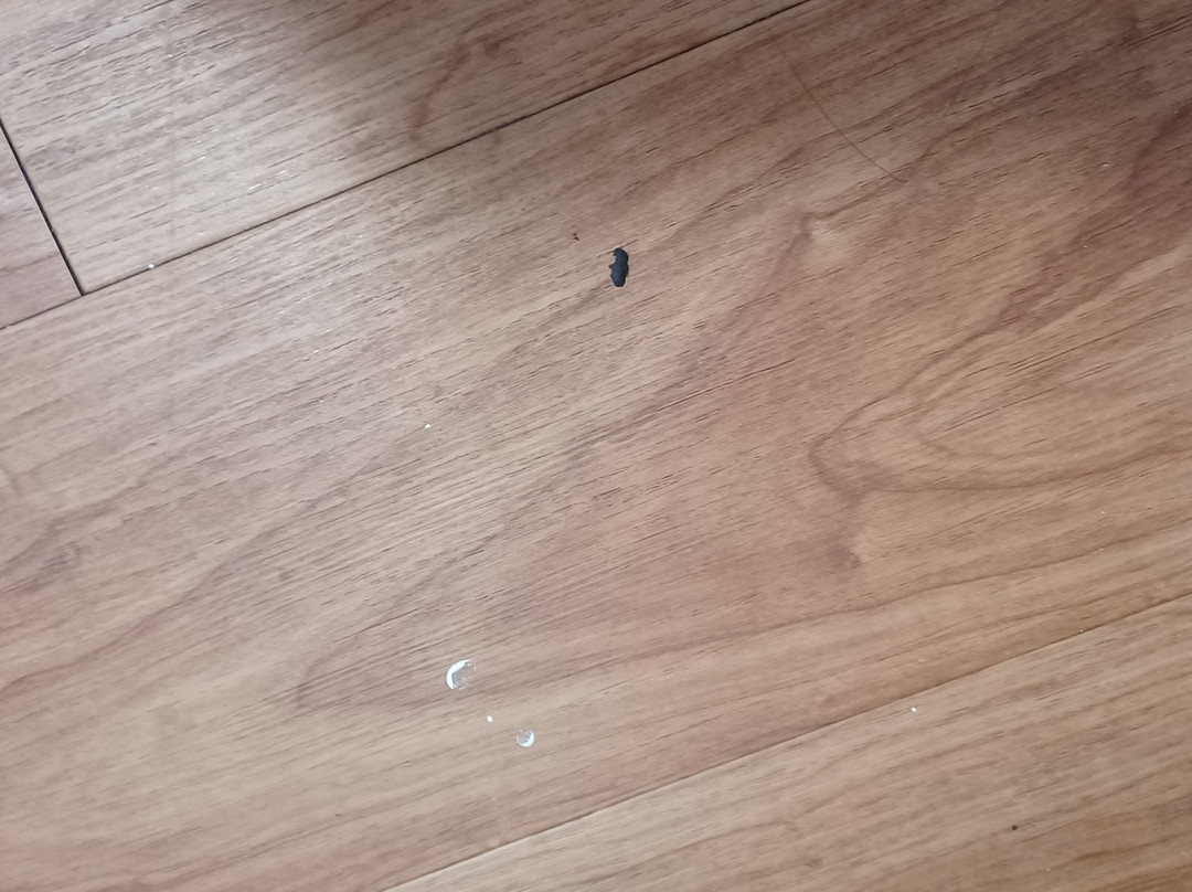 HomeTowne Studios & Suites Bentonville主图