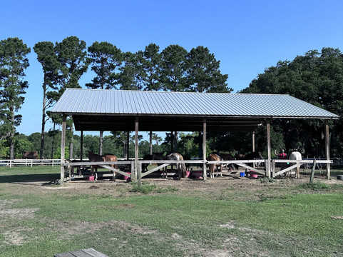 Red Gate Farms Equestrian Center-萨凡纳必去景点