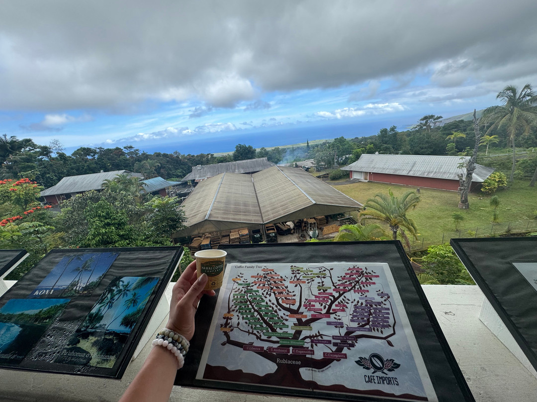 Royal Kona Coffee Center-库克船长必去景点