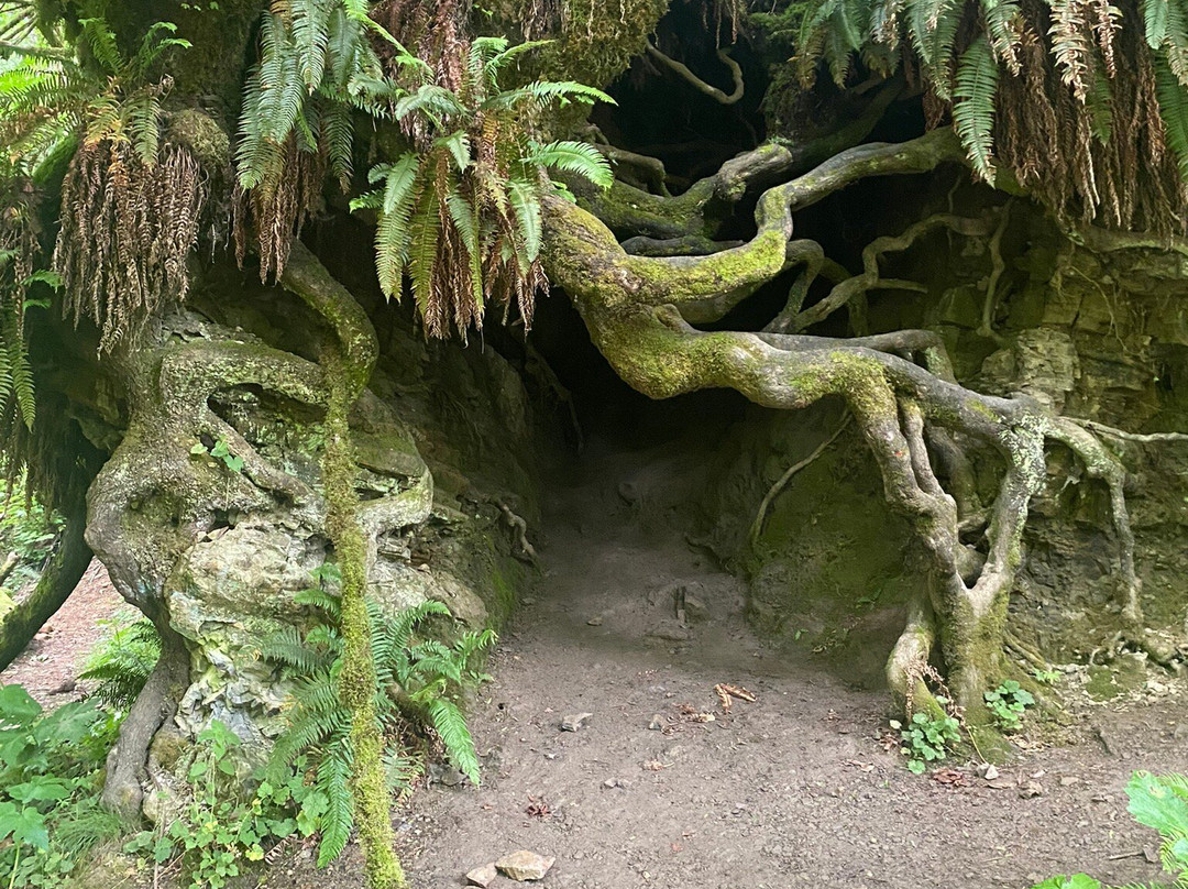 Young River Falls-阿斯托里亚必去景点