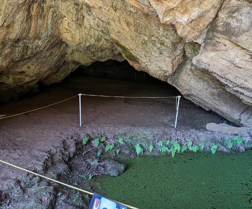 Makauwahi Cave Reserve-卡拉西奥必去景点