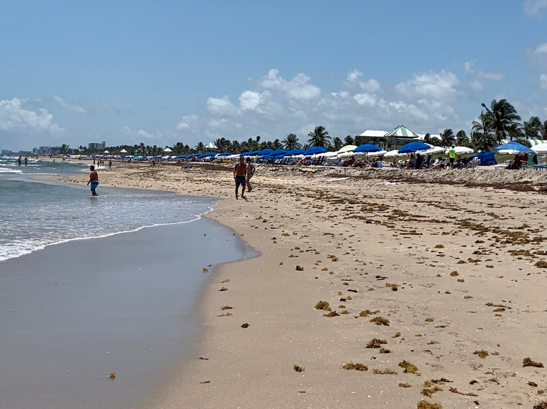 Delray Municipal Beach-德拉海滩必去景点