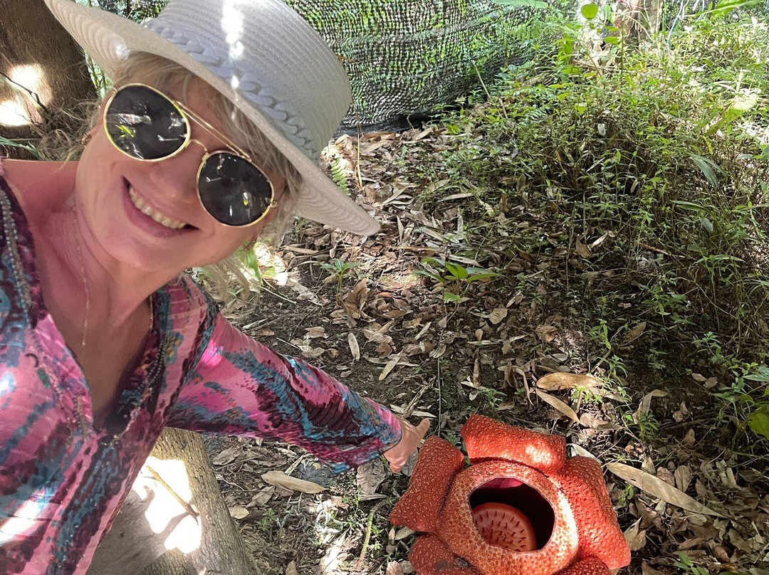 Adenna Rafflesia Garden-Poring必去景点
