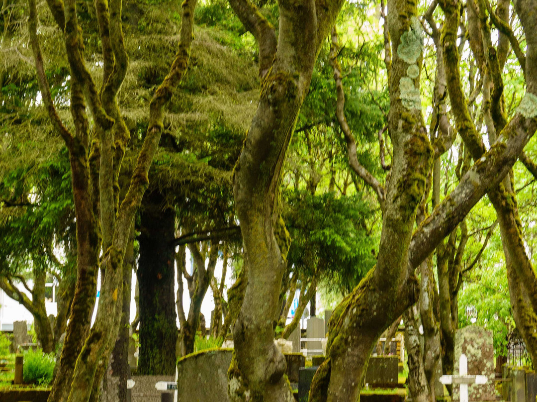 Cemetery Holavallagardur-雷克雅未克必去景点