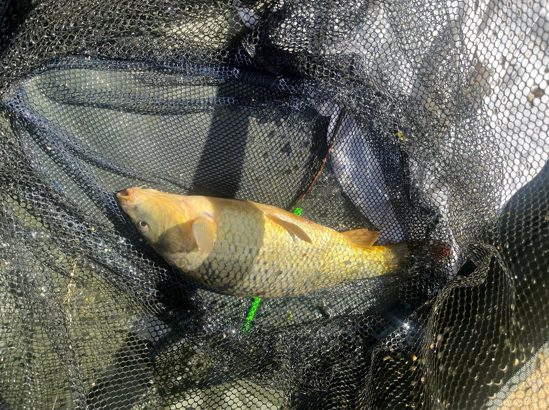 Gabriels Fishery-Edenbridge必去景点