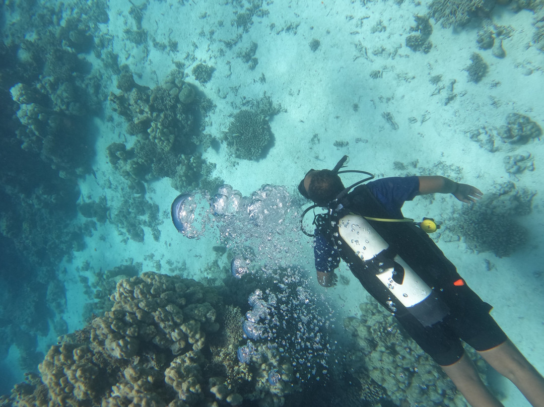 Seashell Sudan-Port Sudan必去景点