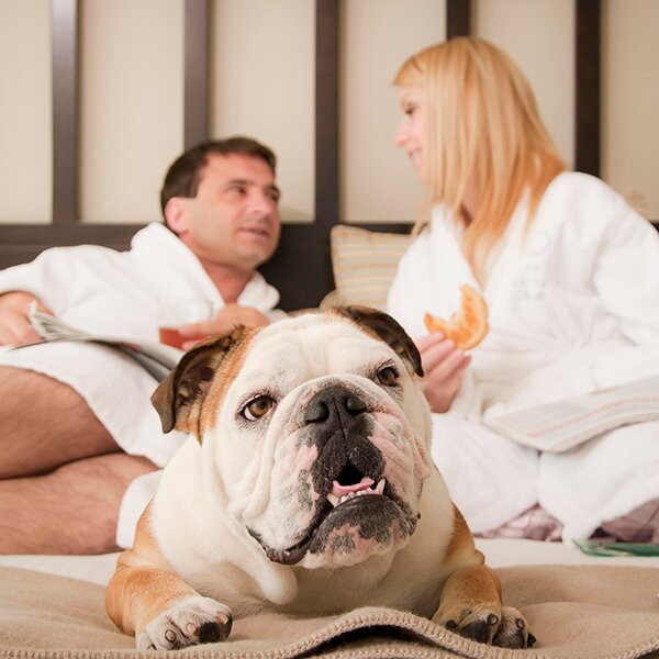 奥斯威戈酒店主图