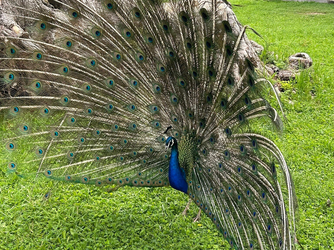 Fauna Park景点图片