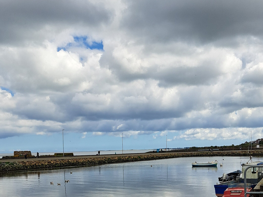 Wexford Harbour-韦克斯福德必去景点
