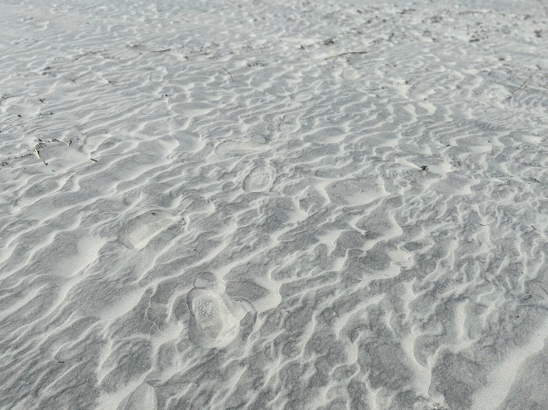 Great Dunes Beach Park景点图片