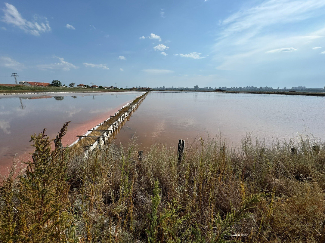 Lake Atanasovsko-布尔加斯必去景点
