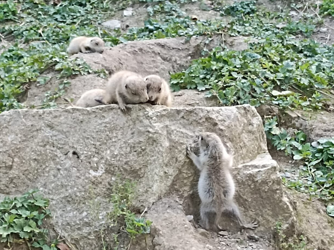 Aran Park景点图片