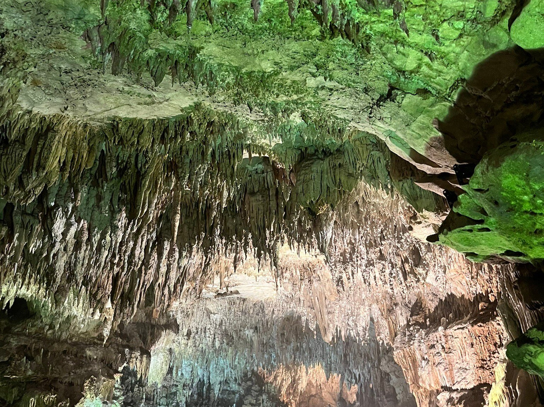 Grotte Di Castelcivita景点图片