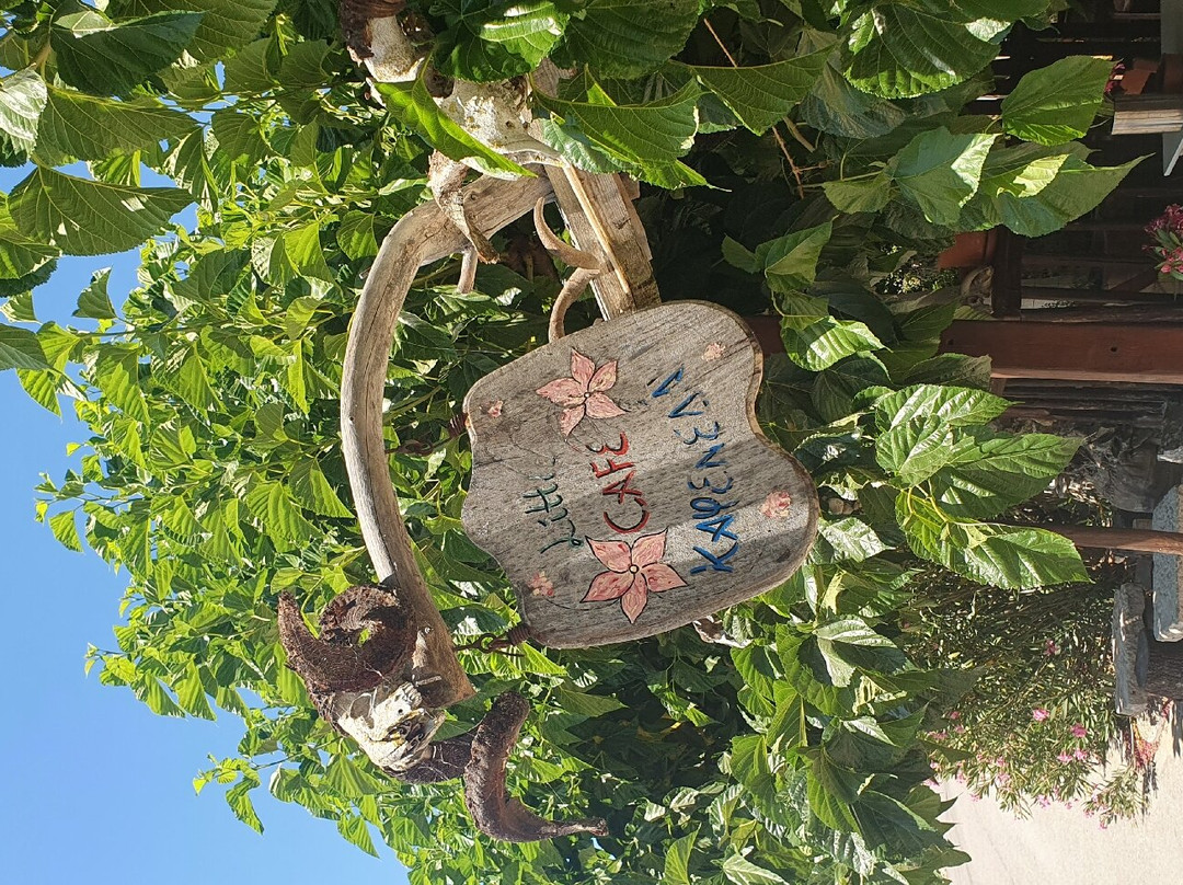 Wild Herbs of Crete景点图片