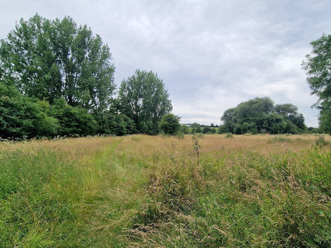 Teston Bridge Country Park景点图片