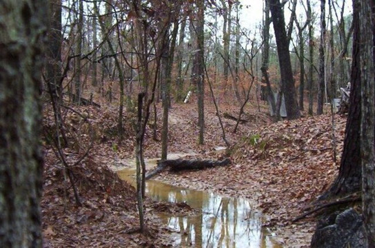 O.F.F. Limits Paintball-Elm Grove必去景点