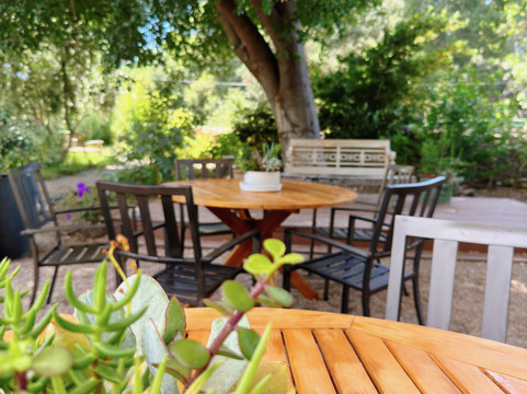 Olive + Lavender Farms-洛斯奥利沃斯必去景点