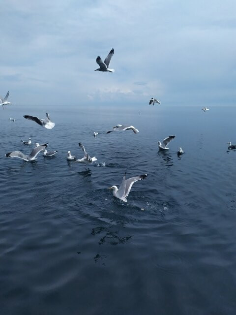 Dialan Baikal景点图片