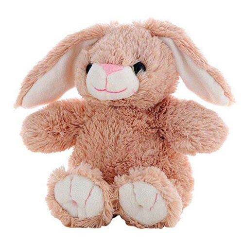 Knuffelberenparadijs-Lede必去景点