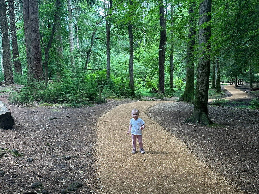 Blackwater: Tall Trees Trail景点图片