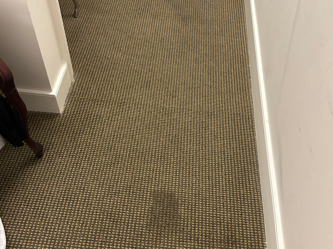 莫法特酒店主图