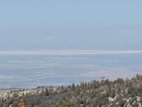 洛杉矶国家森林-阿卡迪亚必去景点