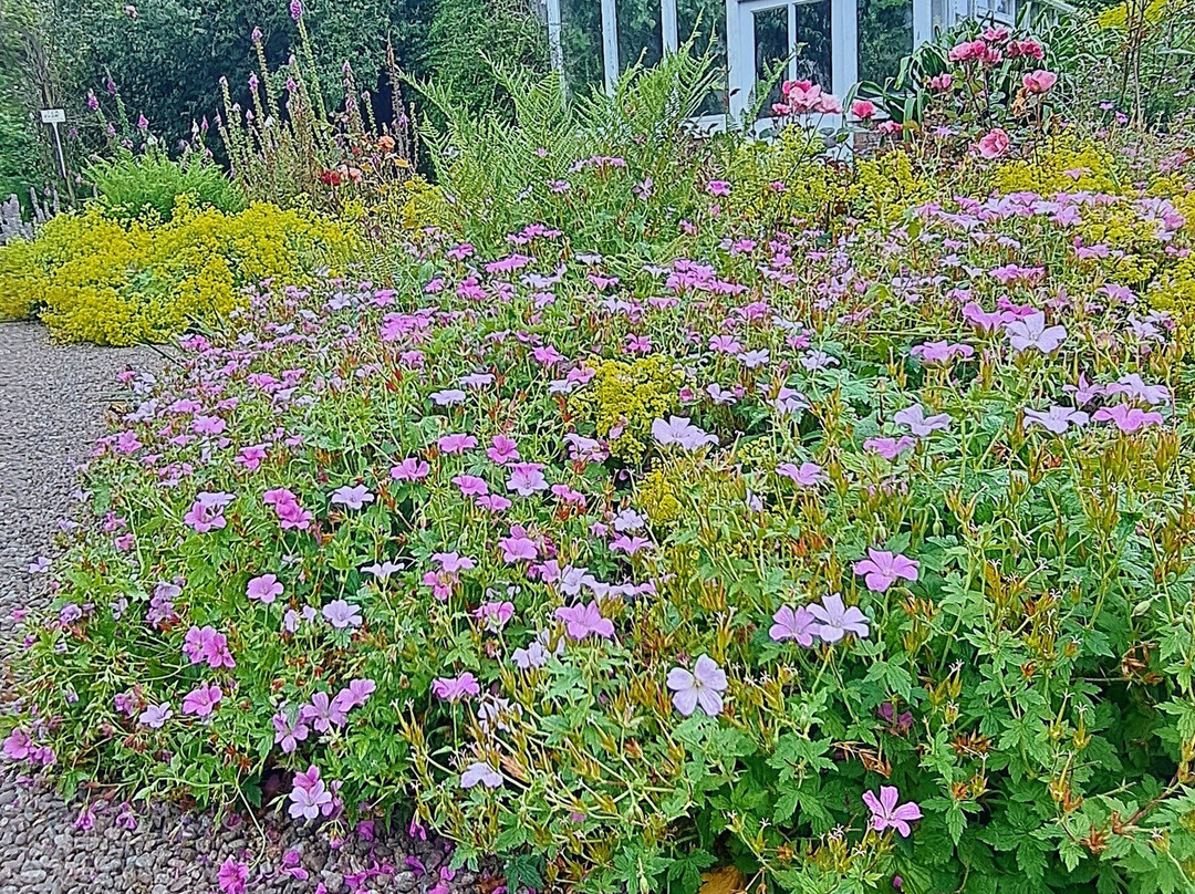 Benvarden Gardens景点图片