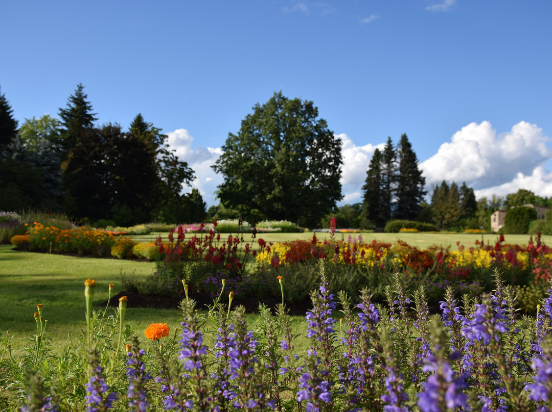 Nacional Botanical Garden Of Latvia景点图片