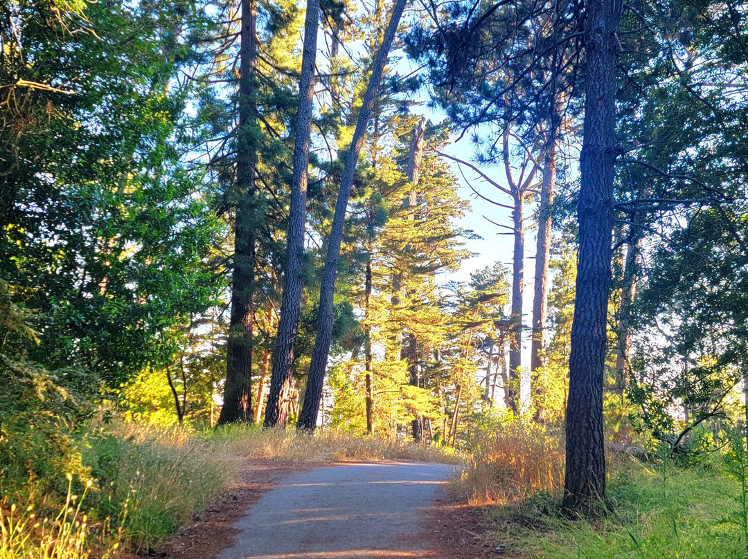 Joaquin Miller Park景点图片