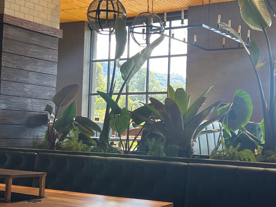 Bárbaro Cocina Primitiva Sede Oriente