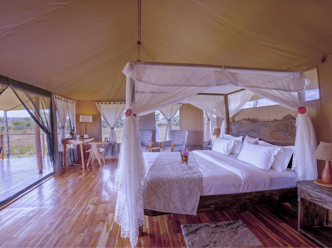 Malaika Seronera Luxury Camp主图