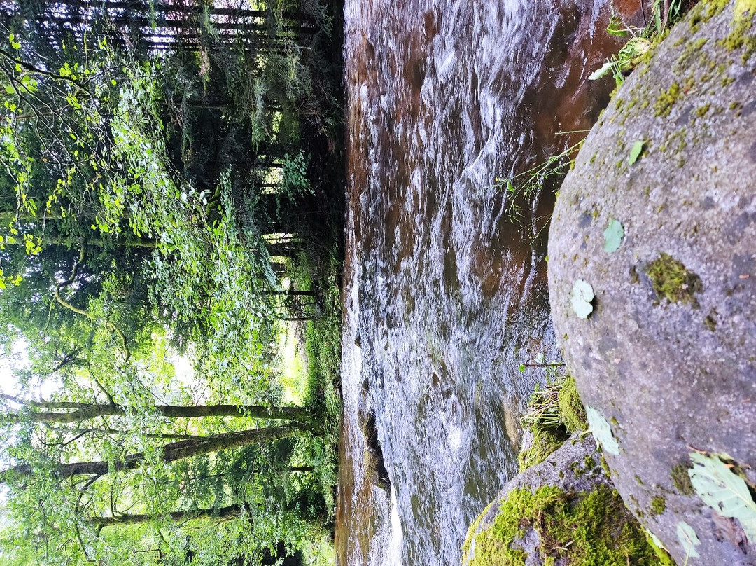 Le Saut des Cuves景点图片