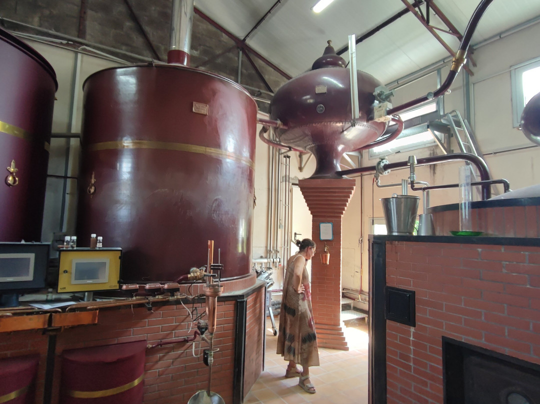 Cognac Raby景点图片