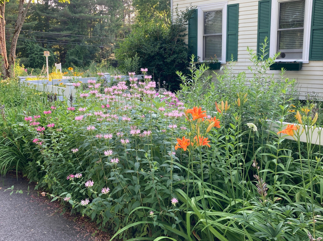 Clary Lake Bed and Breakfast主图