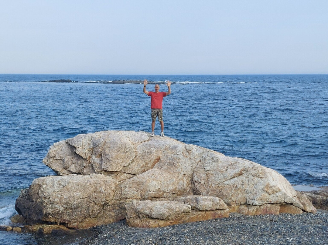 Whaleback Lighthouse景点图片