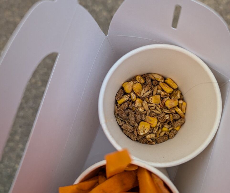 Timbavati Wildlife Park-威斯康星峡谷必去景点