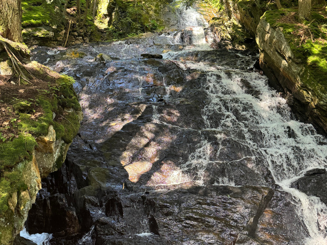 Thundering Brook Falls Trail-基灵顿必去景点