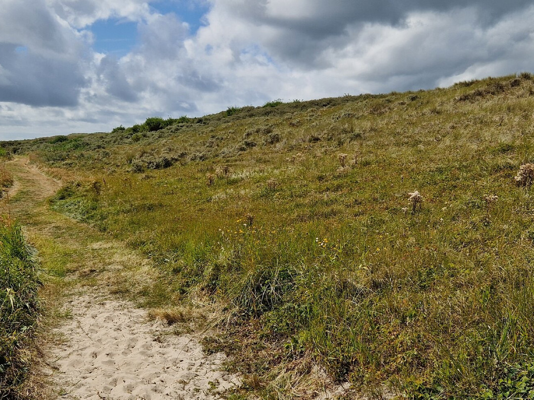Nationaal Park Duinen van Texel景点图片