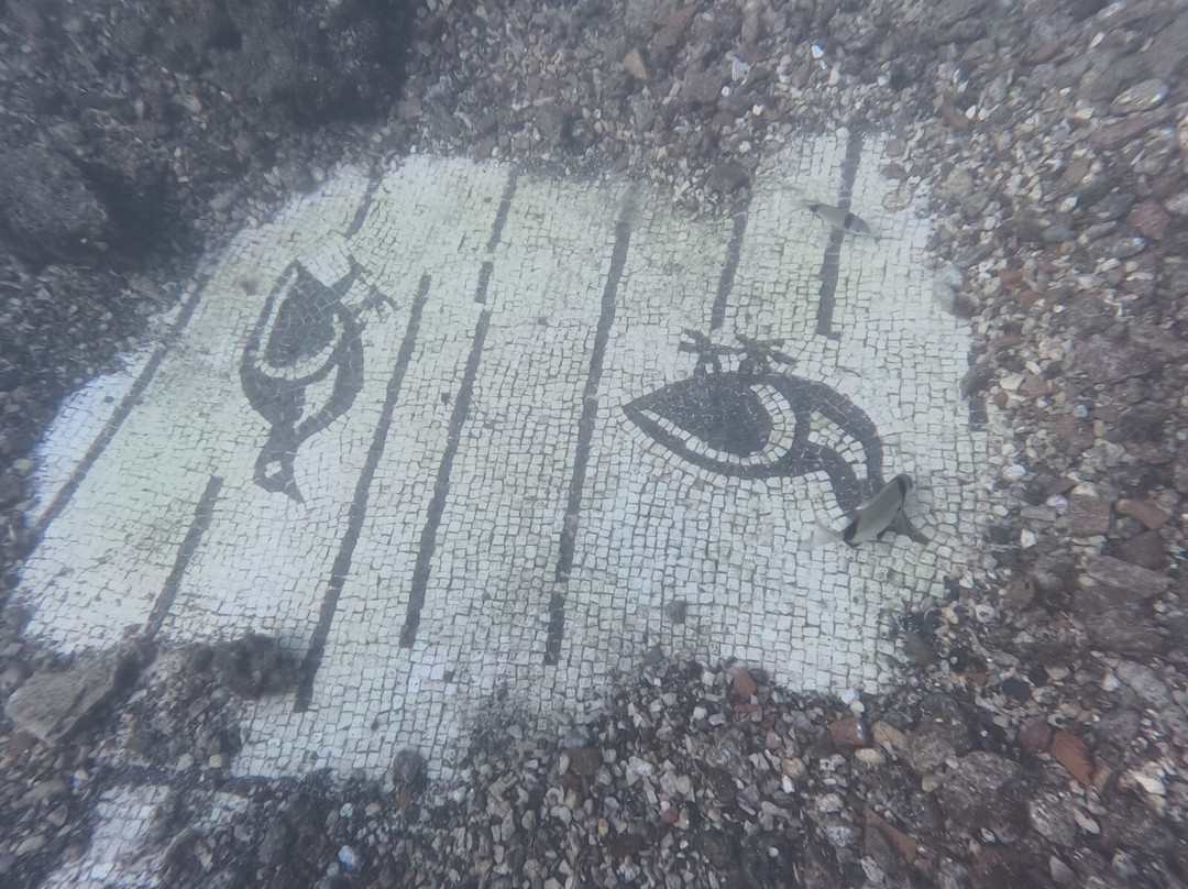 SuBaia Diving Center-Baiae必去景点