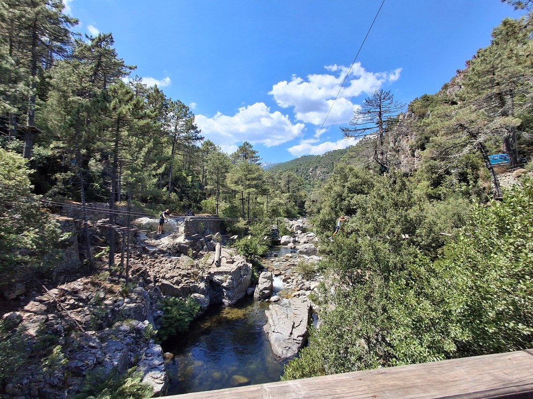 Parc Aventure Ghisoni景点图片