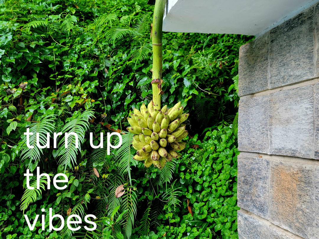 Pinnacle Of Everything主图