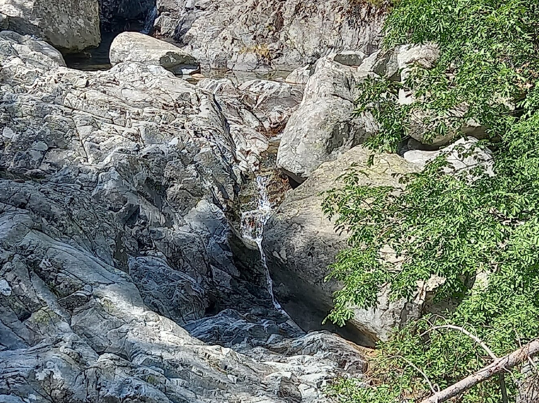 Corsica Natura景点图片