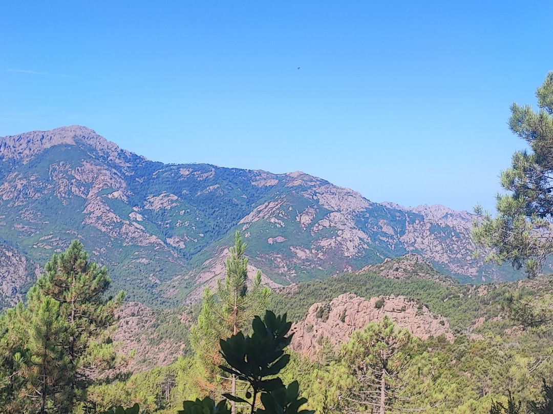 La Forêt De Bonifato景点图片