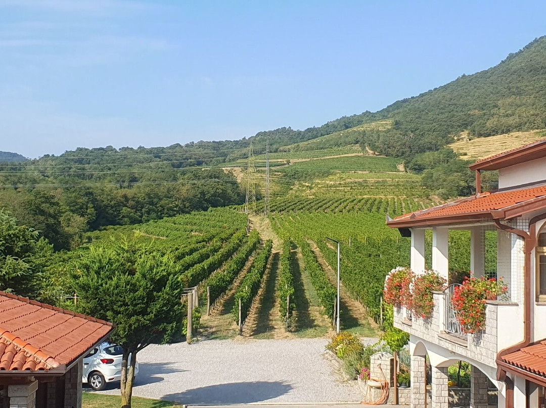 Rouna wines-Slap必去景点