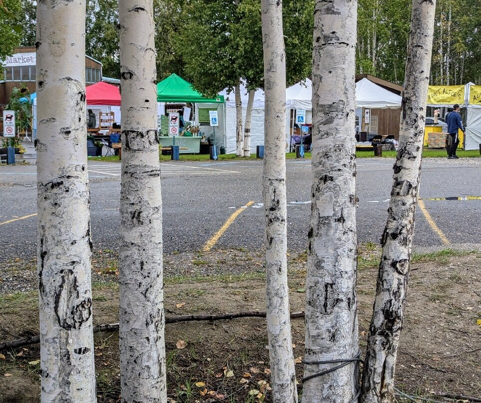 Tanana Valley Farmers Market景点图片