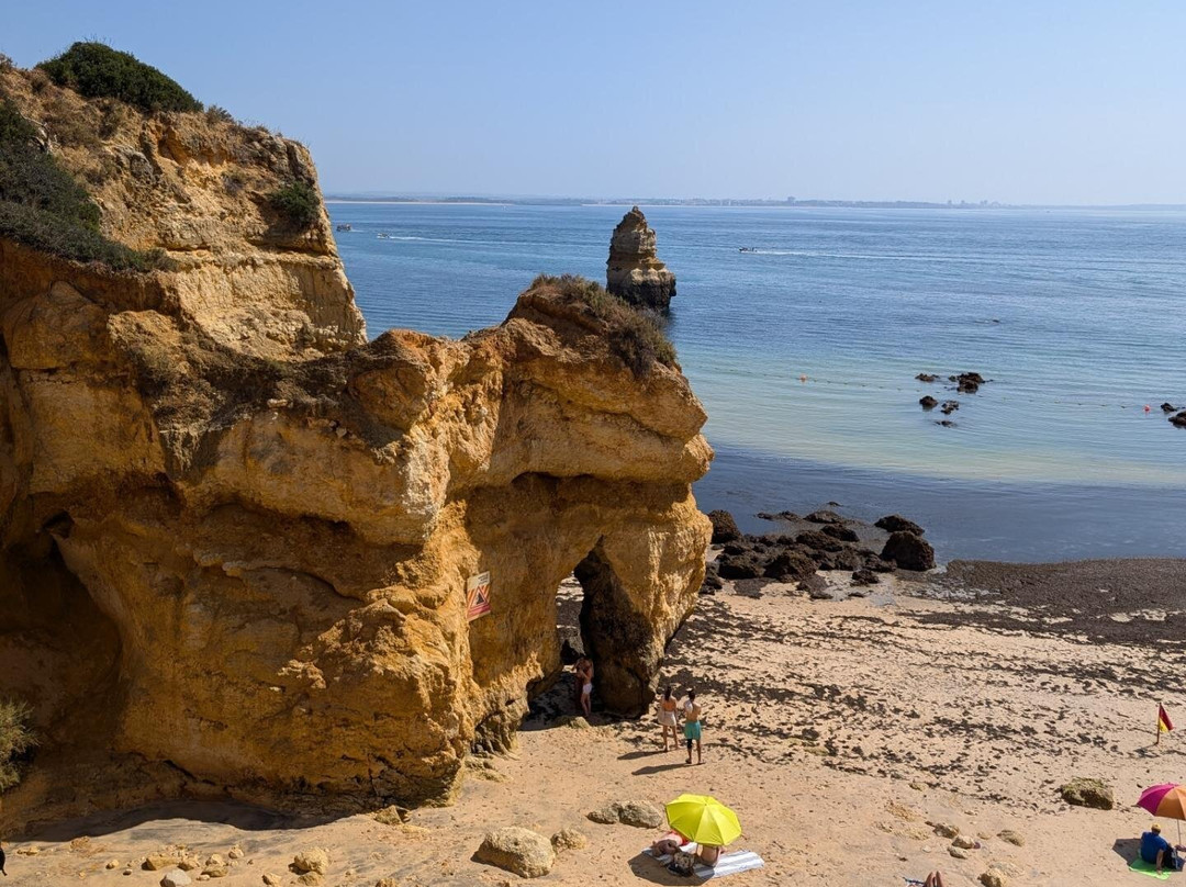 VTours Algarve-法罗必去景点