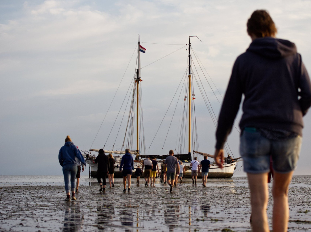 Historische Zeilvaart Harlingen景点图片