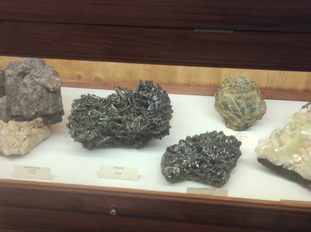 Musée des Minéraux Mineralogica景点图片